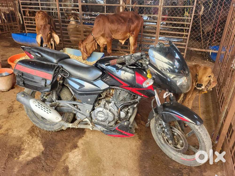 Pulsar 150 dtsi  very good condition bike, singl hand use