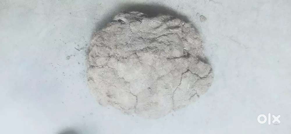Gossa gobar ka upla