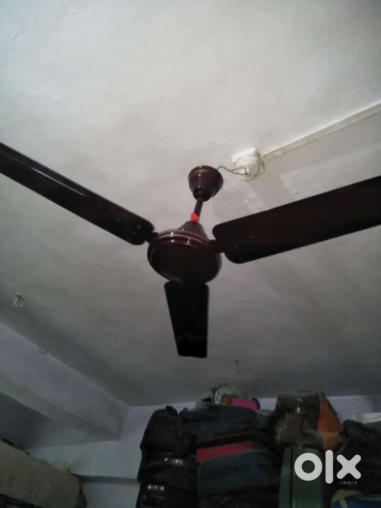 Fan ( bajaj , new)