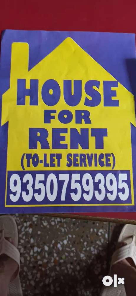 House for rent independent house in sector 8 faridabad 250 sq yard e