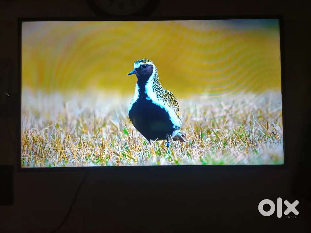 VU led 43 inch android smart