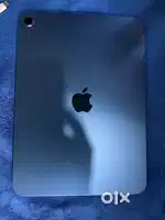 ipad (A16)