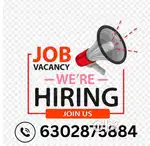Loading / delivery executive