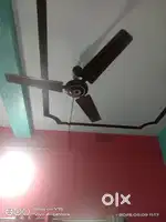 Old is gold fan