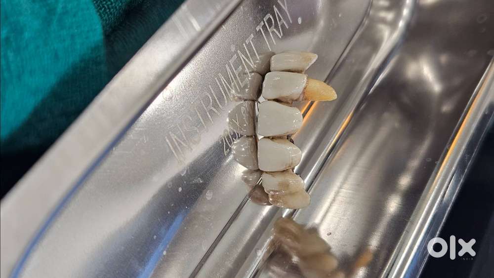 Assistant in Dental Clinic