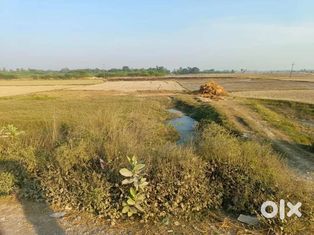 Near 500 metre Agra highway and 3 km Mohaan     malihabaad road ke pas