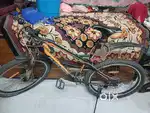 Kross xceed