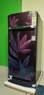189 L direct cooling single door 5 star refrigerator.