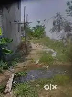 Near ssm college