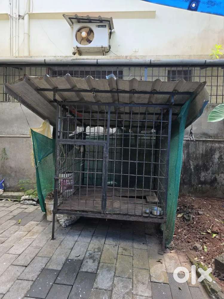 Dog cage for sale