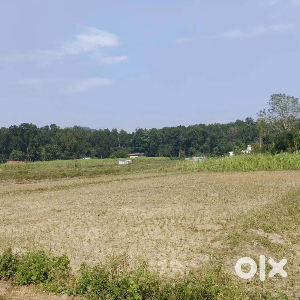 Plots available in doodhli road near police chowki