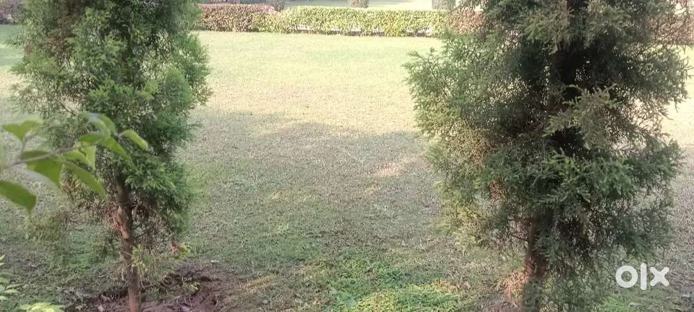 Plot for sale 5 lakh only