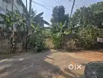 7.5 CENT ORGINAL LAND IN KvAKKANAD PADAMUGAL NEAR SATTLITE TOWN SHIP