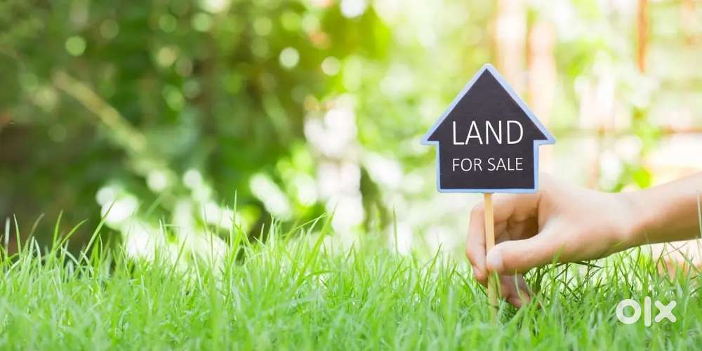121 sq yds (One gunta) Land for sale At Narayankhed