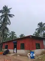 House with Godowns & Juice Factory Setup  Spacious Land for Sale
