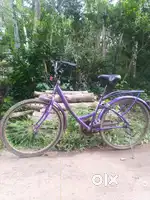 Bsa cycle used one year