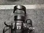 Canon ka R6 24.105 lens