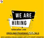 TELLECALLER 2 FEMALE & 1 PERSONAL ASISTANT FEMALE REQUIRED