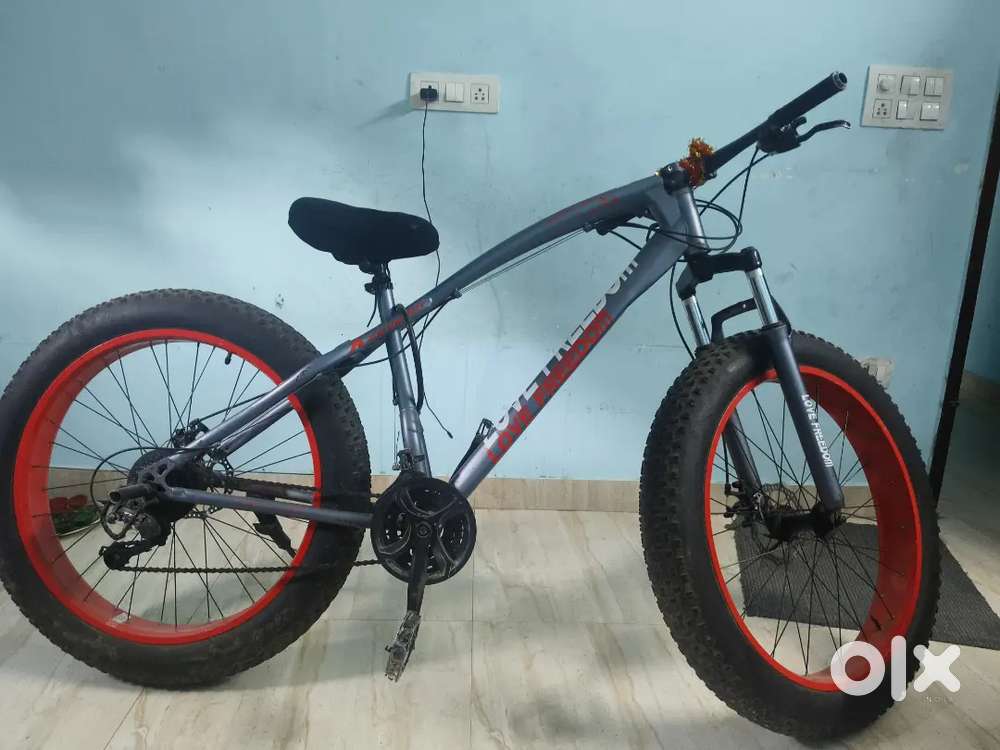 Love Freedom 21 Gears Cycle with Disc Brakes 10 Months Old