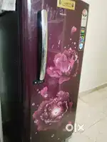 Voltas only 6 month usage quality Fridge