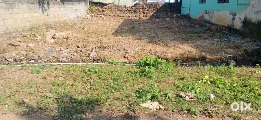 ప్రత్తిపాడు పంచాయతీ