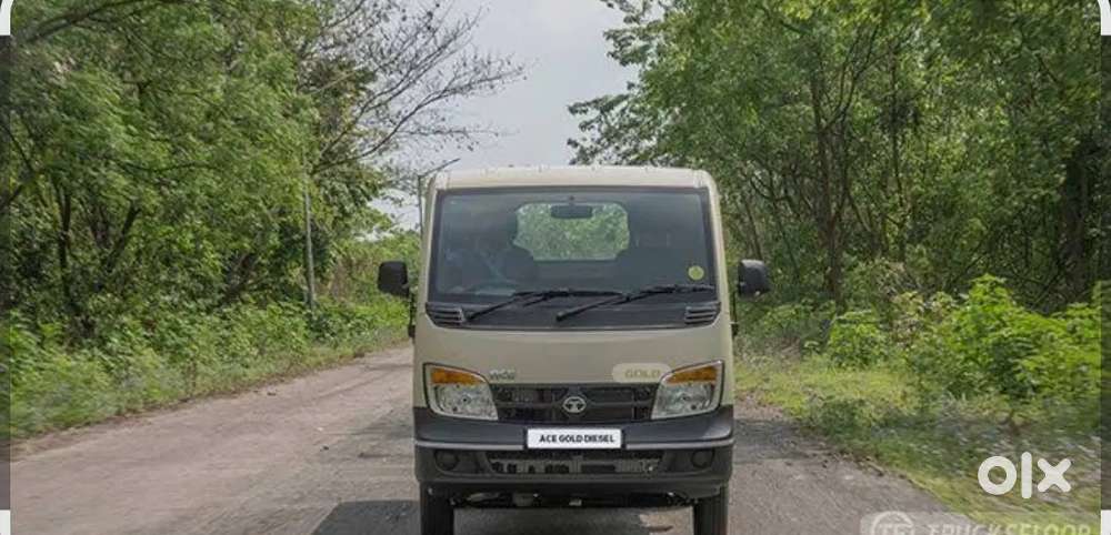 Driver Tata ace pain