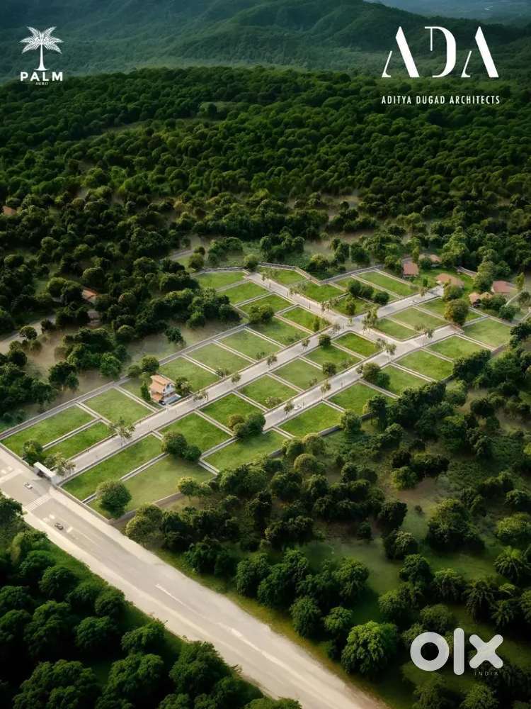 NA -44 plot at Prime location