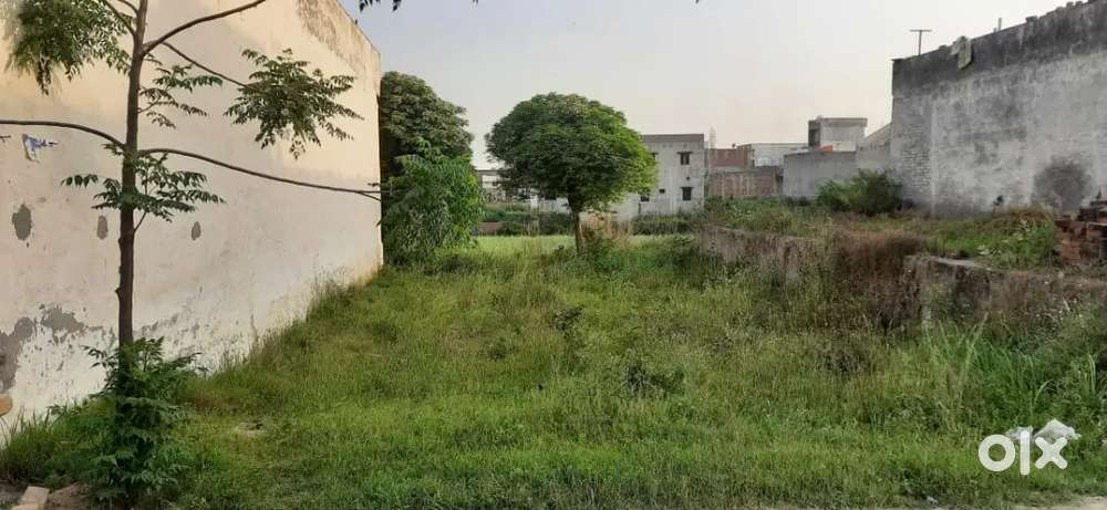 Plot near Radhasoami satsang Beas