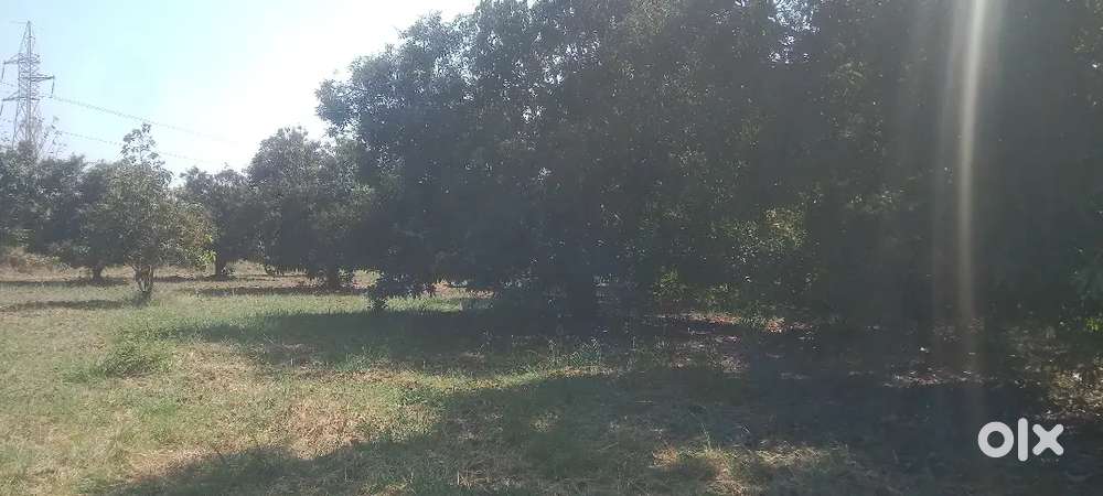 NH 48 dungri to 400 mt inside agriculture properties price negotiable