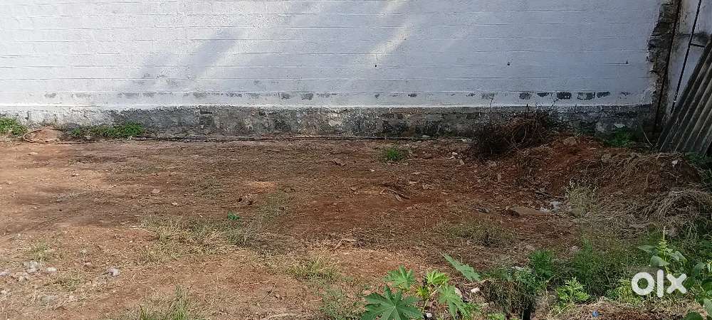 Land sales Kongu main road