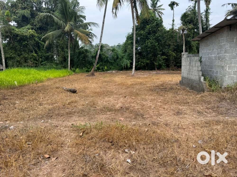 Kottayam kalathipady  near juction 12 cent good plot