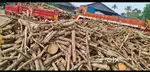 FIREWOOD FOR LOW RATE