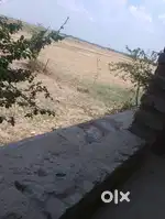 Khet bechna h Damaruwa gaw m h 37 besa