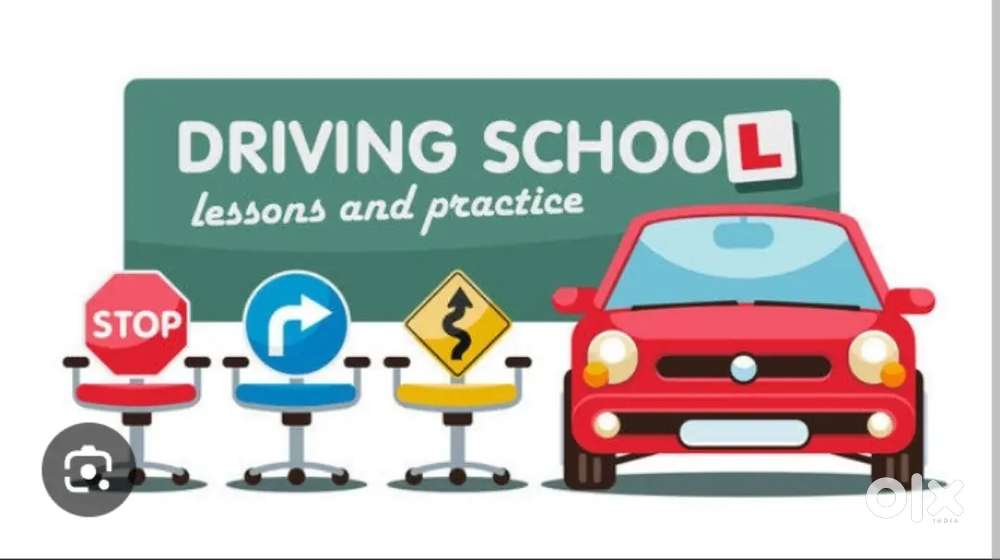 Driving instructors