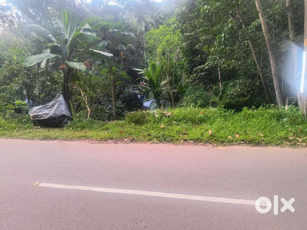 147 cents of land @ Edavachal 10 kms from Kattakada