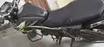 Hornet honda