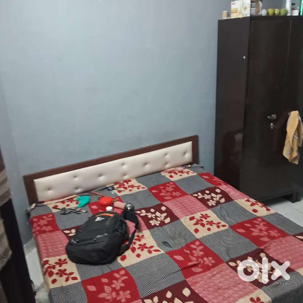 Looking for room maye only punjabi