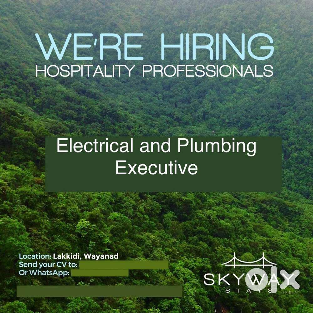 Maintenance Executive: Electrical and Plumbing