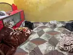 Room near pahari mandir