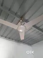 Usha fan and small 4 blade fan