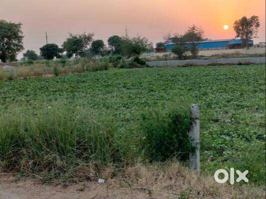 AGRICULTURAL LAND of10 biggha NEAR DADRI TOLL PLAZA