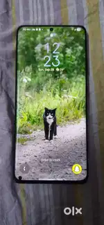 Samsung S21 ultra