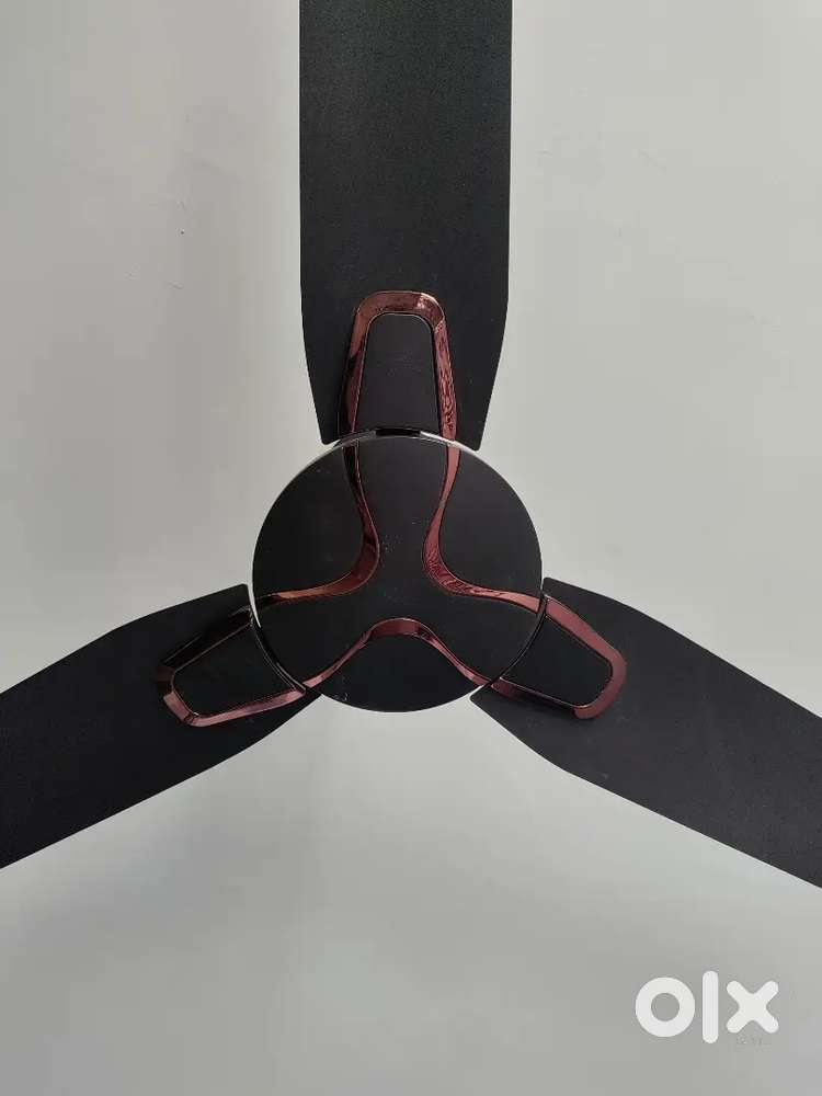 Oriant Designer Fan