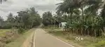 32 Acres COCONUT farm (Mysore) 32/- lks per Acre TAR road