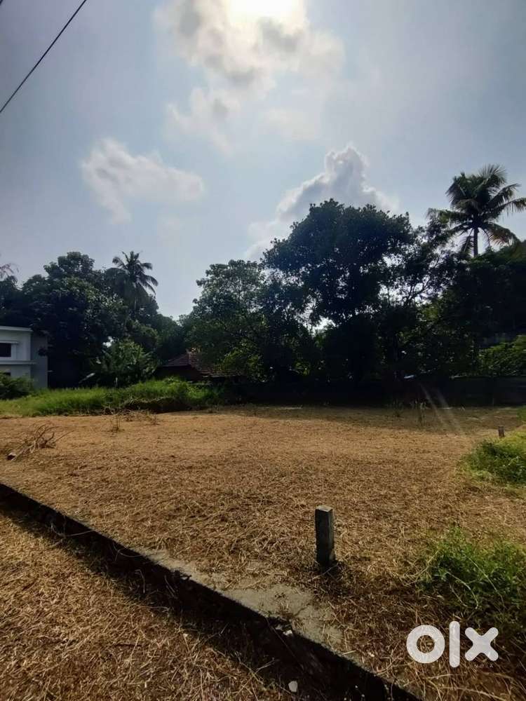 6 cent plot , kodannur centre