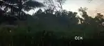 22Cent Lorry access land for sale near MCROAD Adoor, Mythrapuram