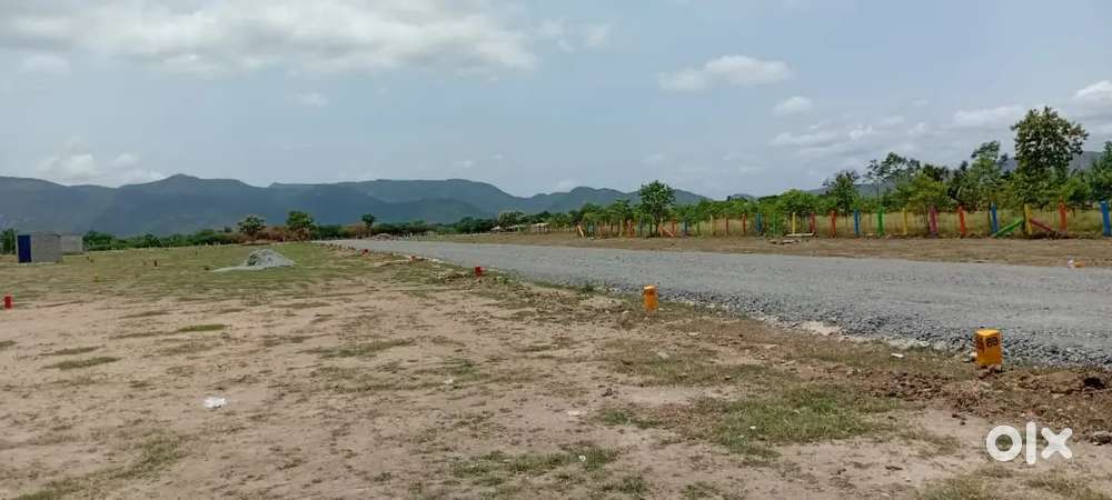 Budget plots at affordable cost