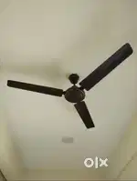 Sleek 3-Blade Ceiling Fan - 2 Units