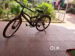 DNS ROADRAPTOR