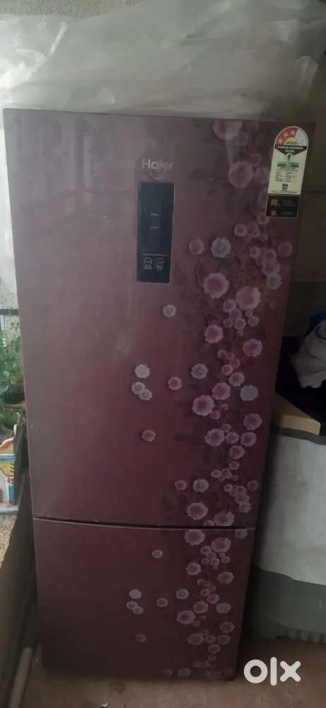 Fridge higher